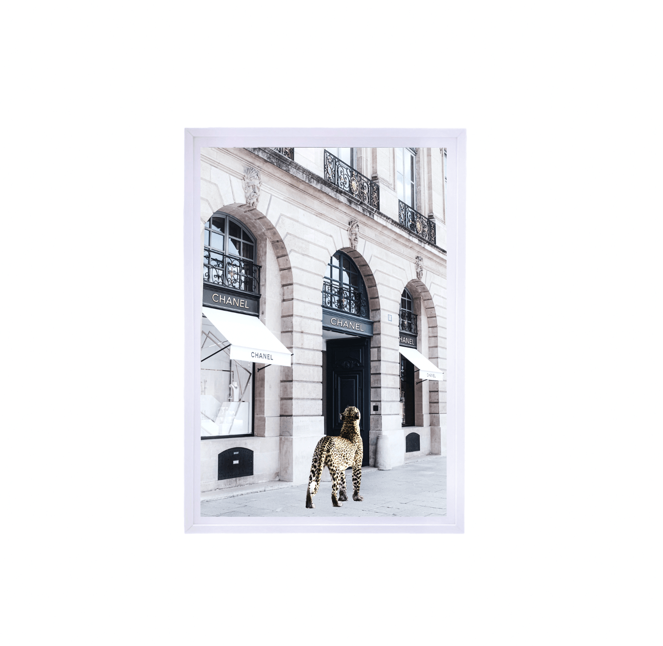 Interior Ave - Catwalk - 90cm x 60cm White Framed Wall Art